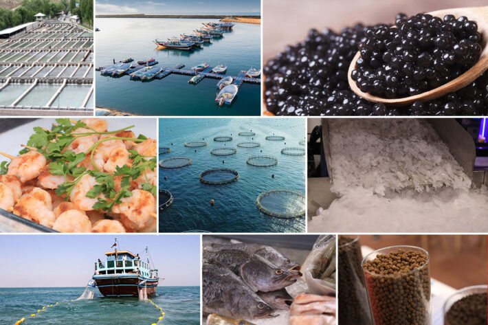 The 8th Int’l Fisheries Industry Exhibition (IFEX 2024)