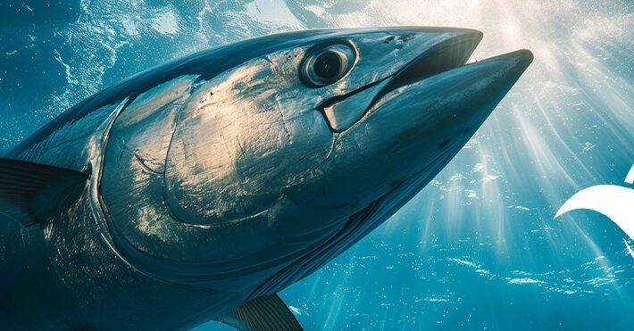 The 9th International Fisheries Industry Exhibition (IFEX 2025)