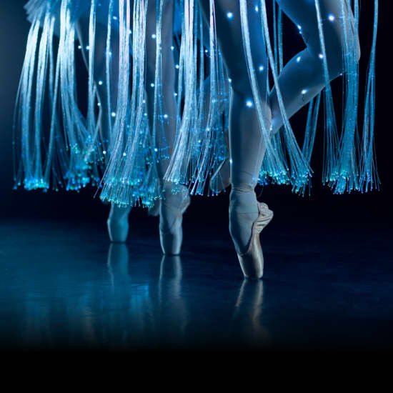 Ballet of Lights: A Bela Adormecida em um espetáculo cintilante