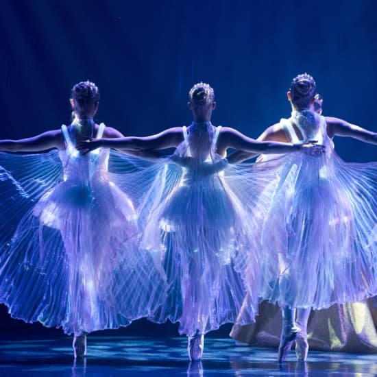 Ballet of Lights – Carte-Cadeau