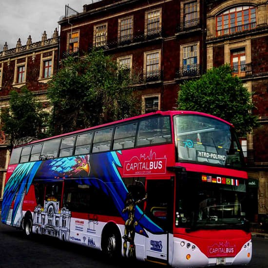 ¡Night Tour con Capital Bus!