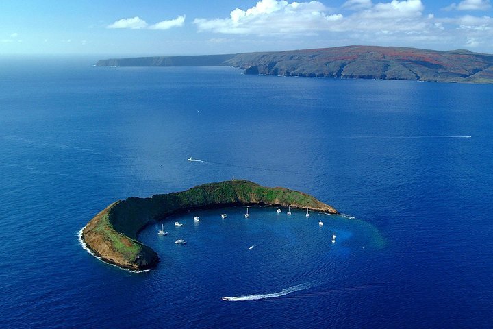 Maui Snorkeling Adventure to Molokini and Turtle Town