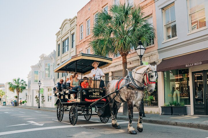 Charleston’s Old South Carriage Historic Horse & Carriage Tour
