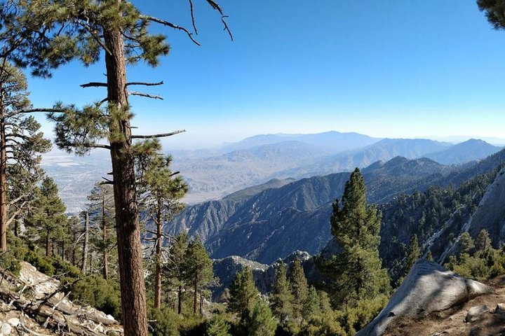 Palm Springs Aerial Tramway Admission Ticket