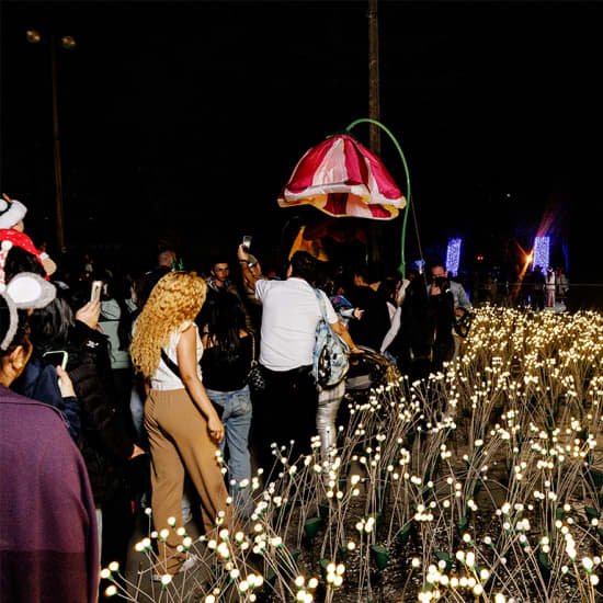 Festival Brilha Sonhos no Parque Villa-Lobos