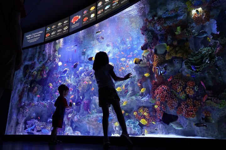 New England Aquarium Admission Ticket in Boston
