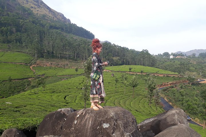 Munnar Tea Plantation Walk with Sunset View (By Munnar Info)