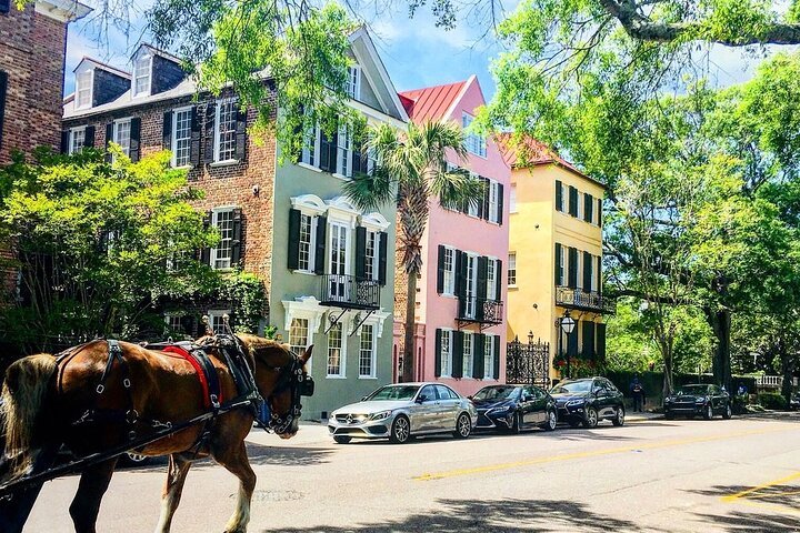 Charleston Horse & Carriage Historic Sightseeing Tour