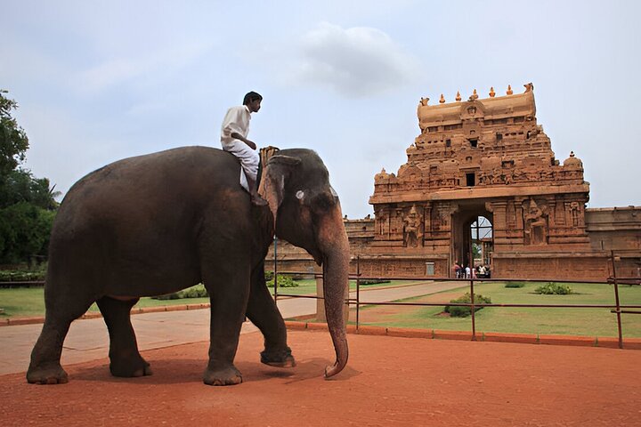 Madurai to Thanjavur – Trichy & Gangaikonda Cholapuram Day Trip