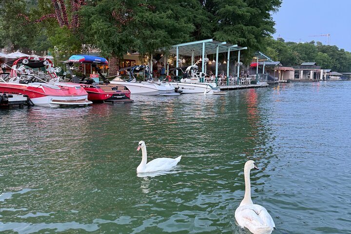 1 hr Lake Austin Boat Cruise. BYOB (Shared – Single Tickets)