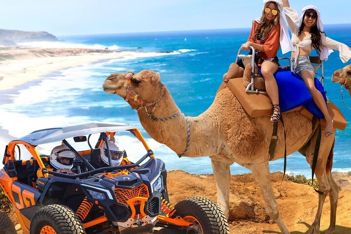 Camel Ride and UTV Combo Adventure with Tequila Tasting