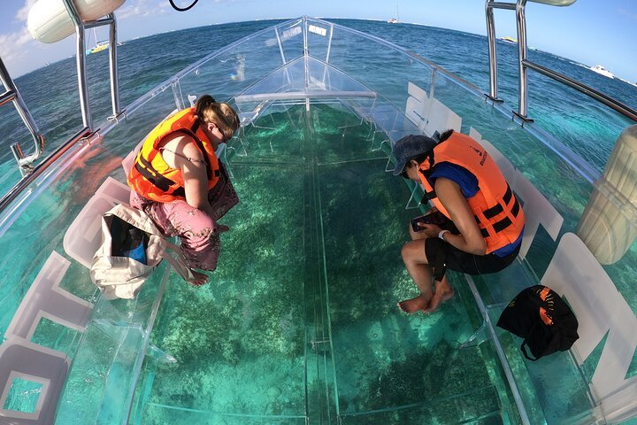 Tour to Arch in the only Clear Boat in Cabo Cruise Hotel PICKUP!